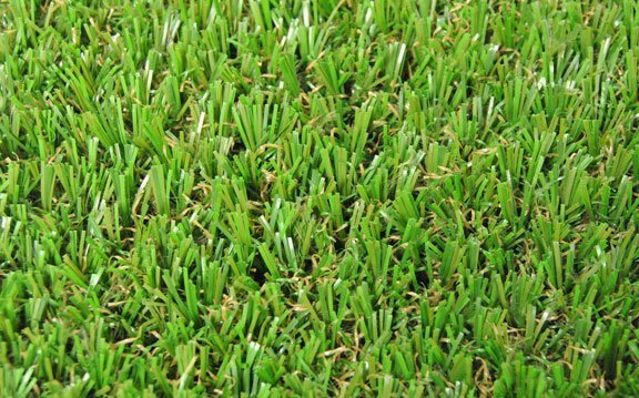 vestacka trava highlands